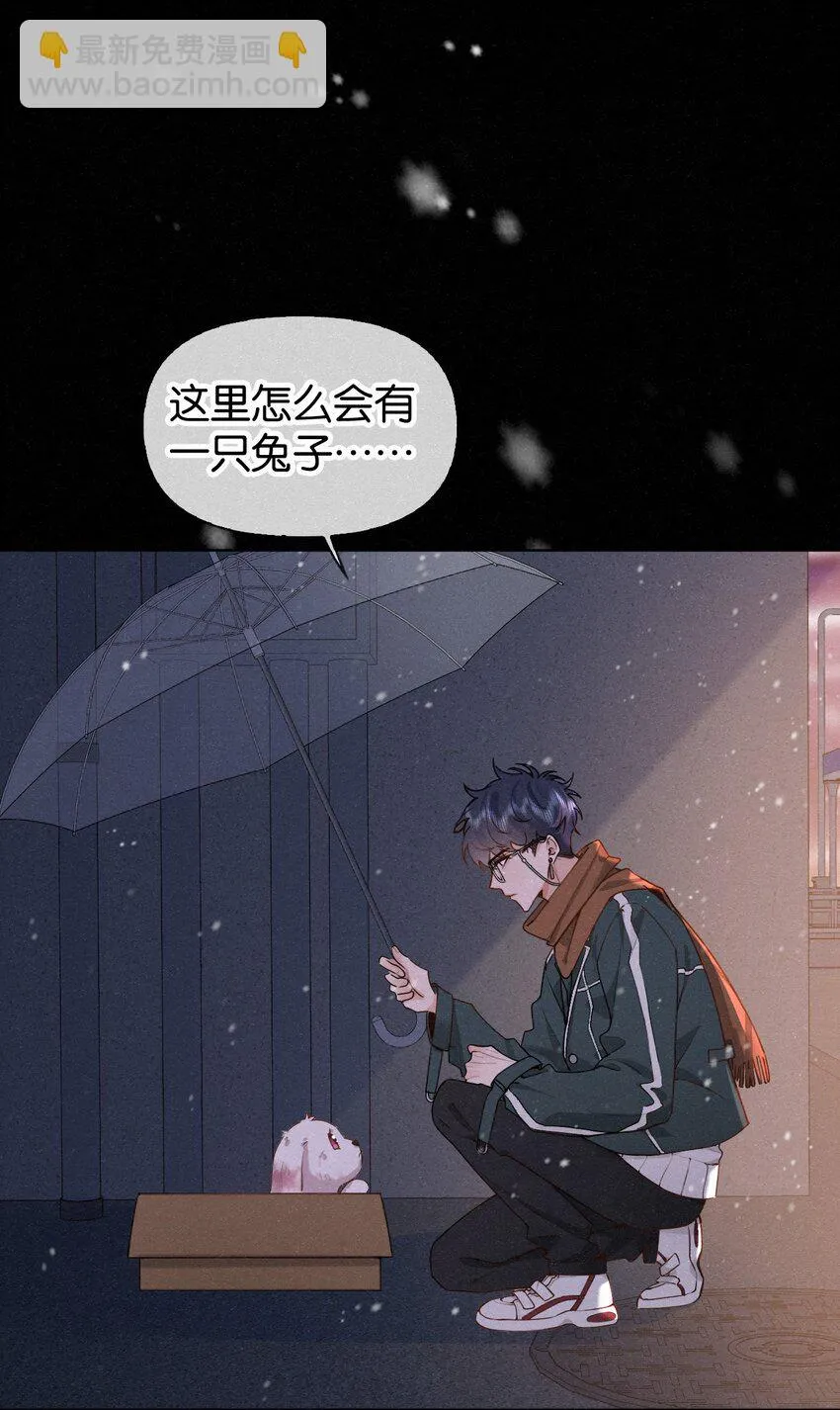 新年番外 捡到一只兔兔澜~ 第7页