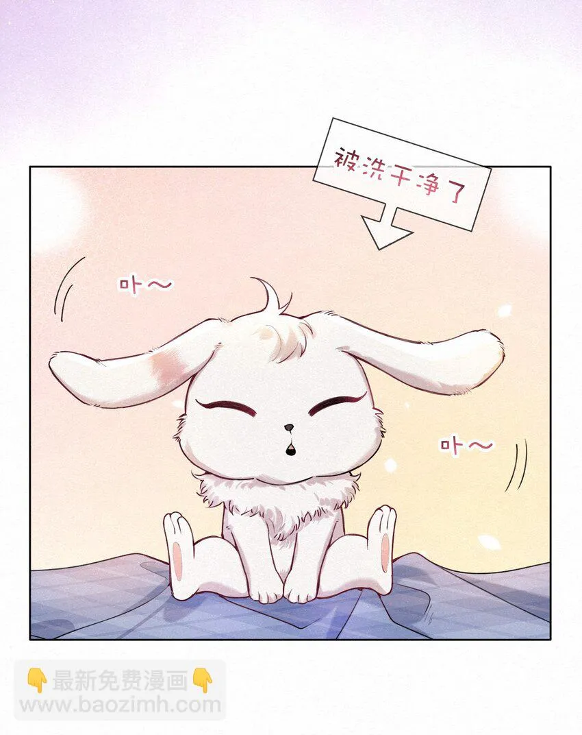 新年番外 捡到一只兔兔澜~ 第11页