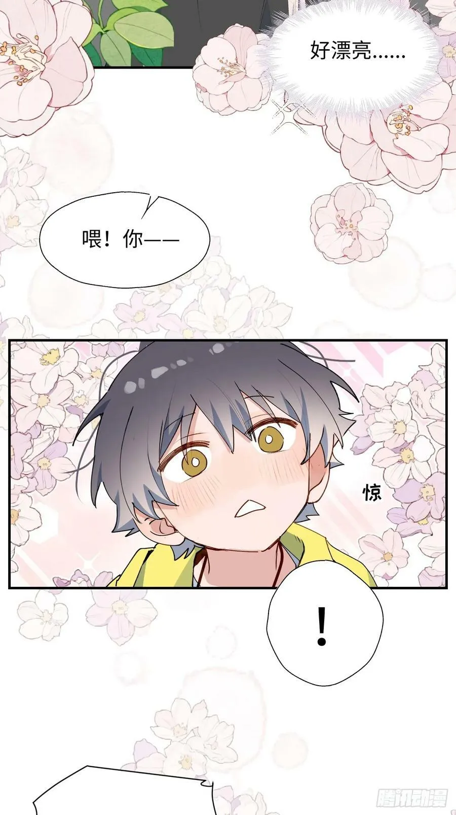 67会被吃掉吗…… 第5页