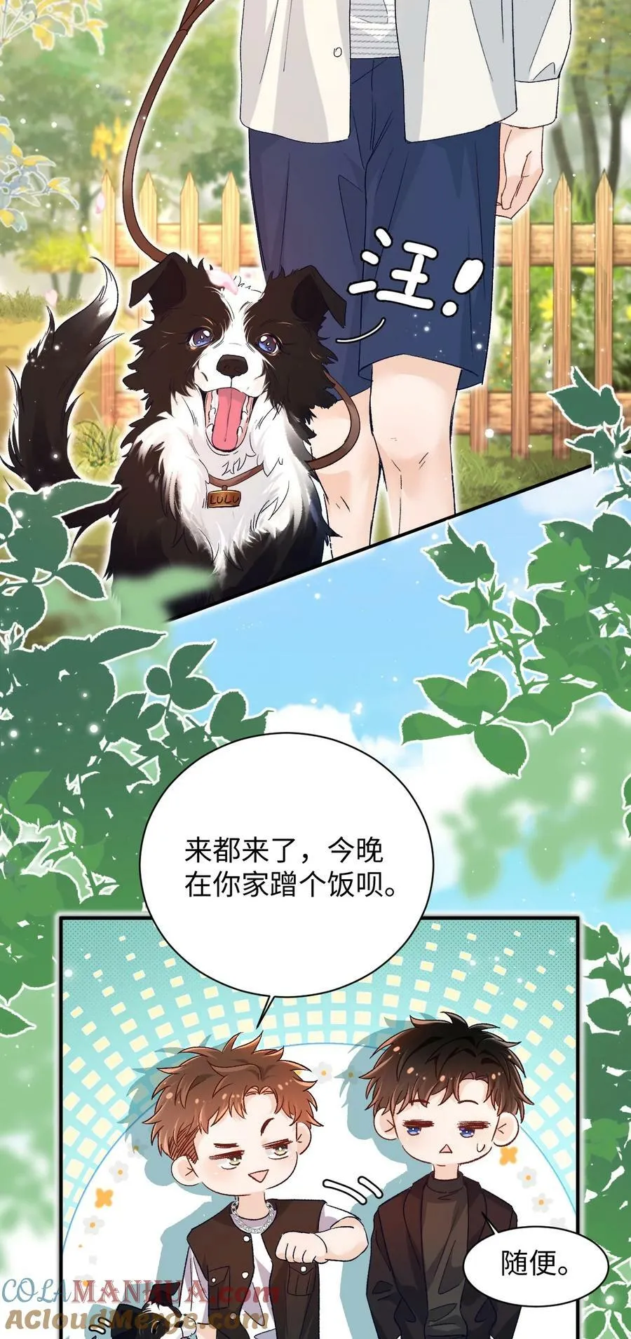 031 别乱舔～ 第5页