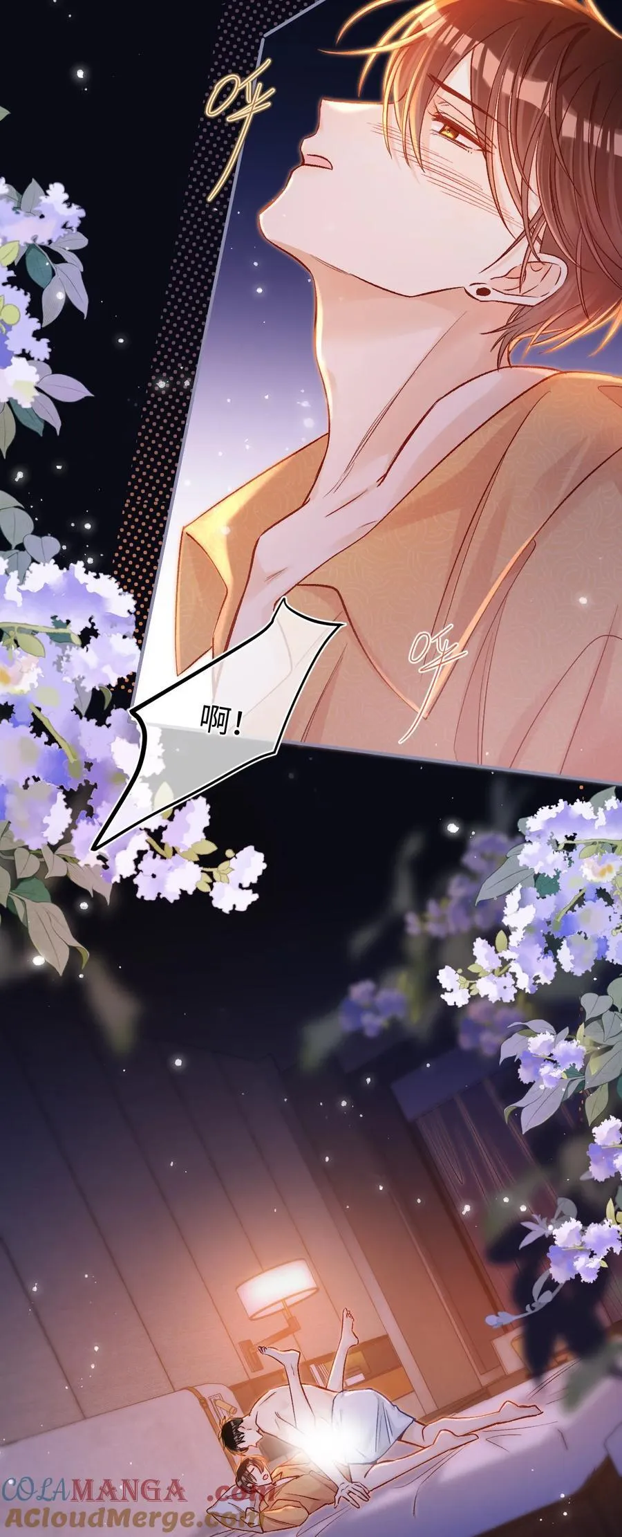 079 陆总缺伴吗？ 第5页