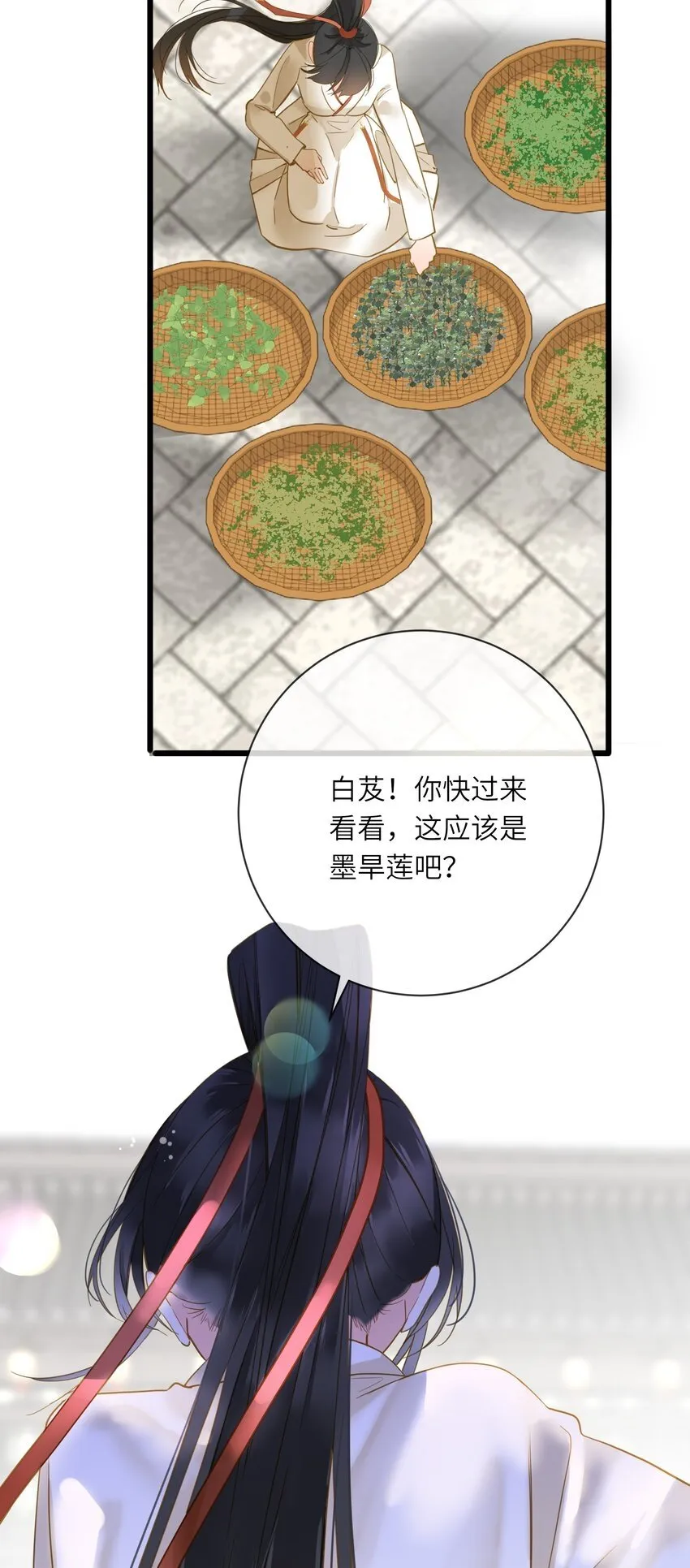 025 生分 第5页