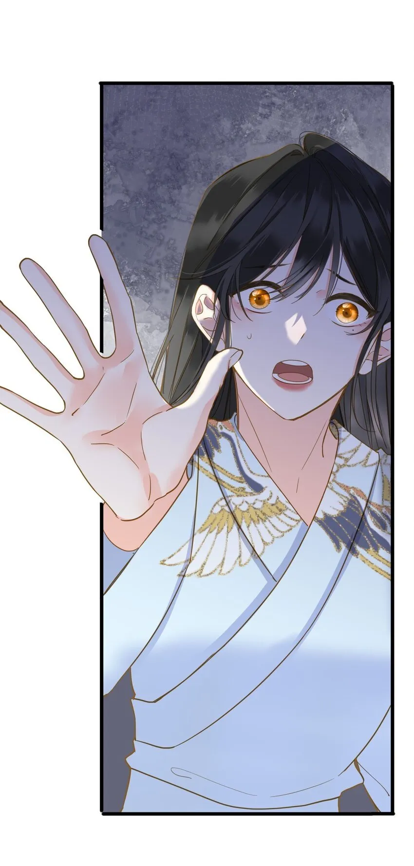 025 生分 第41页