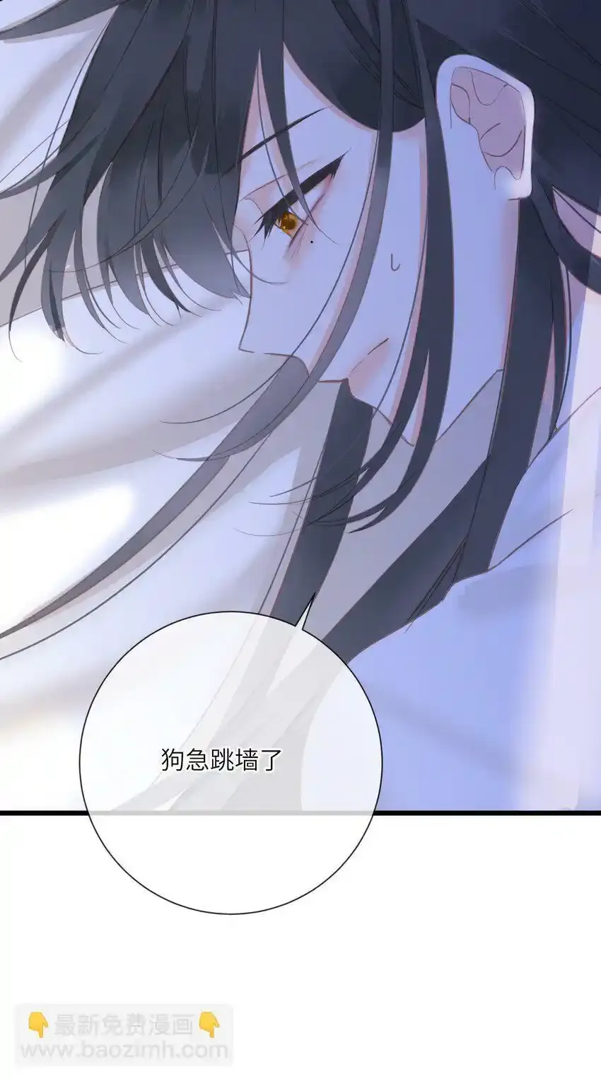 015 大型护犊子现场 第9页