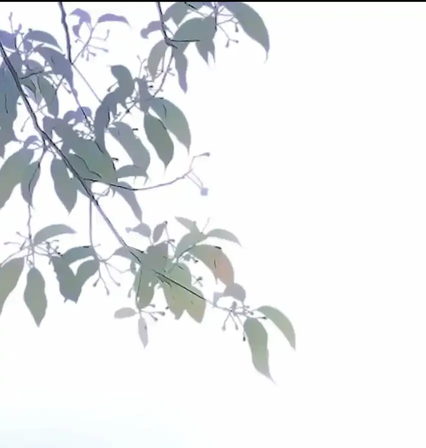 015 大型护犊子现场 第34页