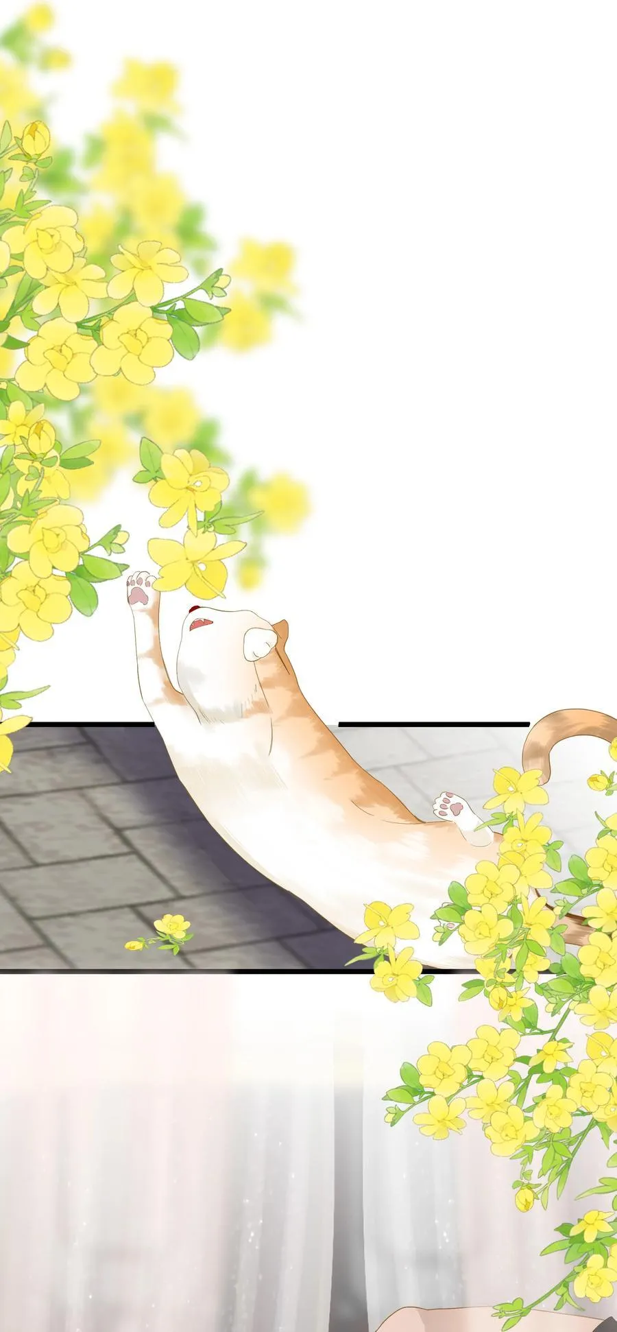 081 关于正妃 第2页