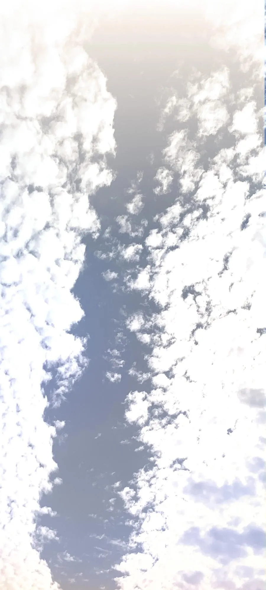 092 穆王弑君 第45页