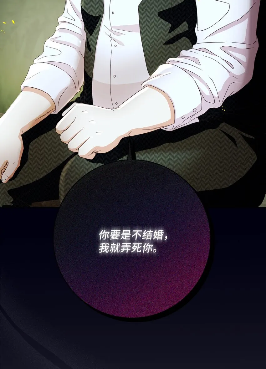 54 设局 第26页