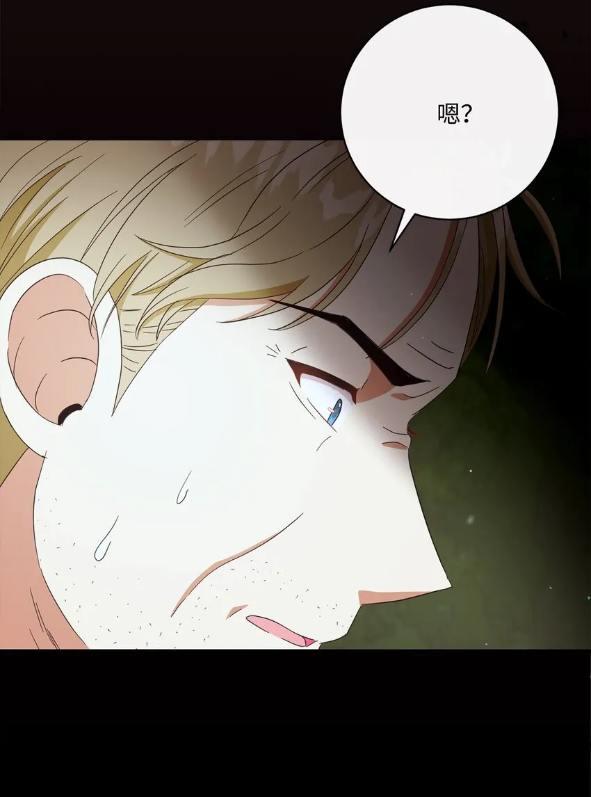 54 设局 第43页