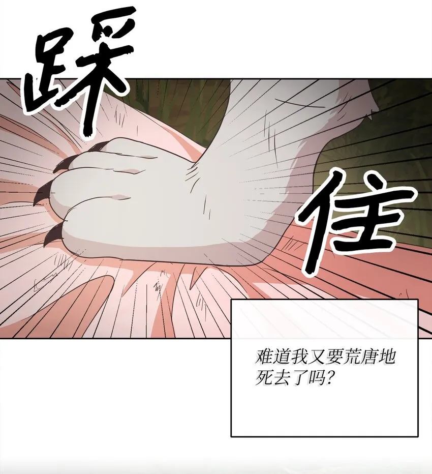 12 见习骑士 第25页