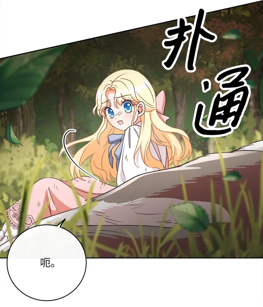 12 见习骑士 第28页