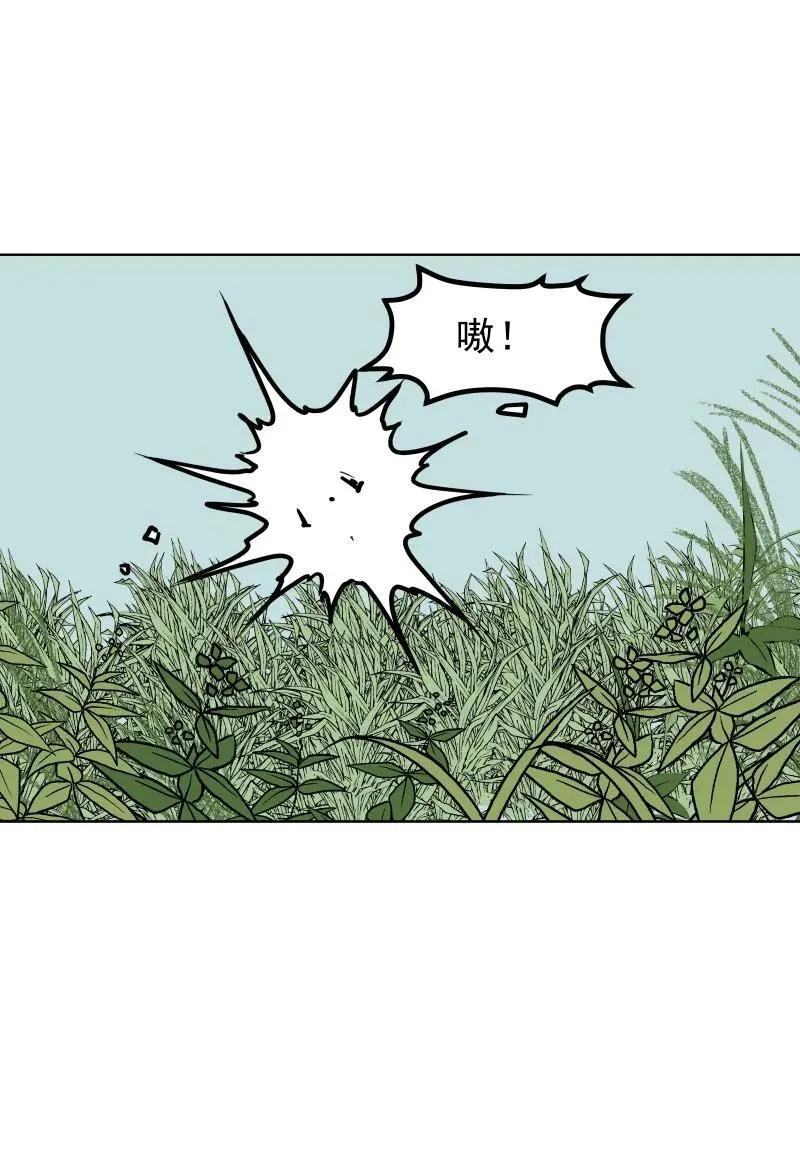 101 草丛 第16页