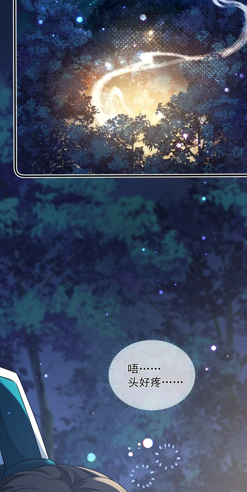 002 没人说他是我夫君！ 第52页