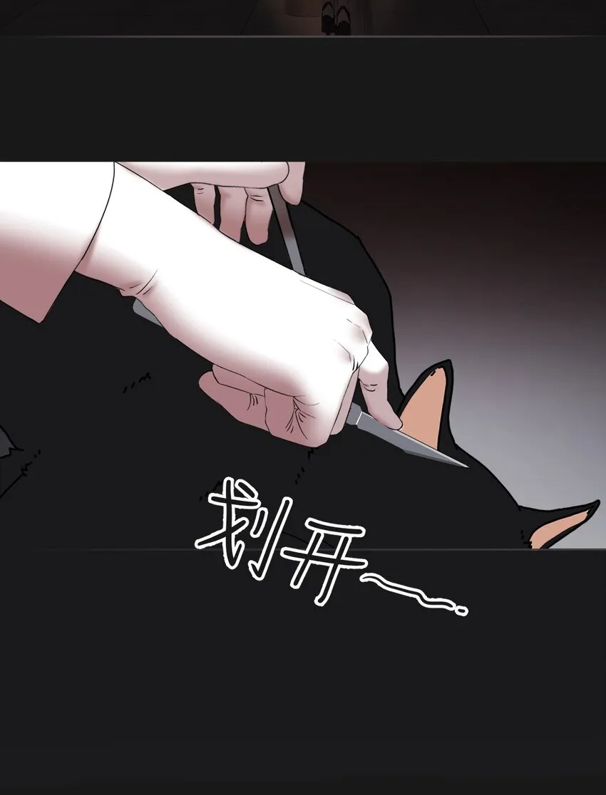 024 实验品 第20页