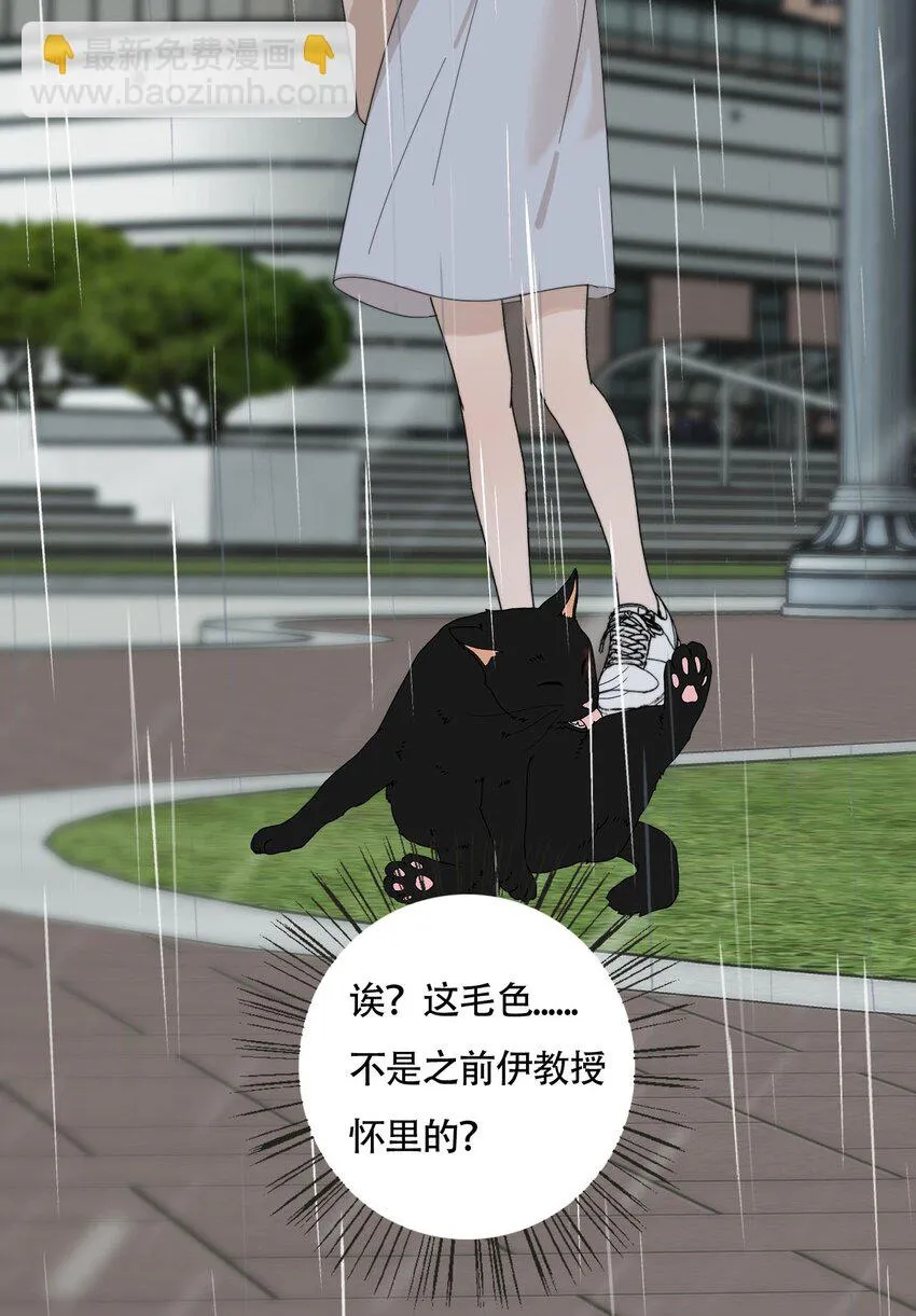 022 她们是恋人吗？ 第12页