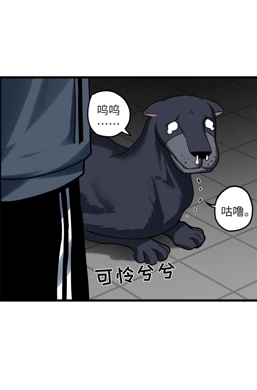 02 雷霆云海界！ 第13页