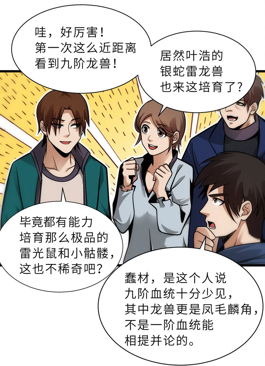 40 龙兽之间，亦有差距 第11页
