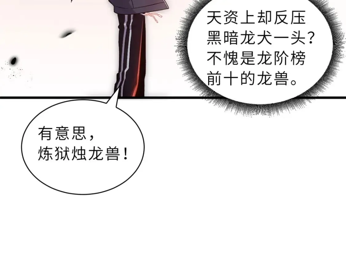 88 挨打我们是专业的 第28页