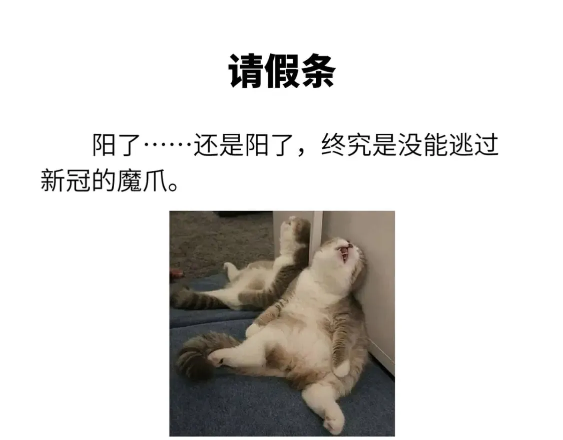 95 誓死效忠 第153页