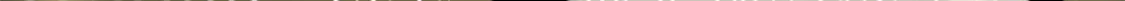 109 传承竞选开始 第125页