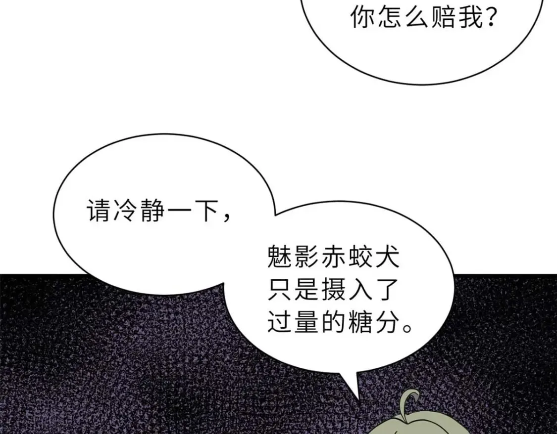 114 出发 第115页
