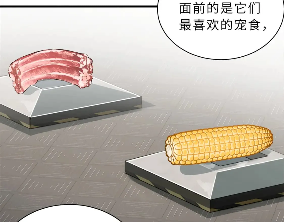 116 斗兽 第50页