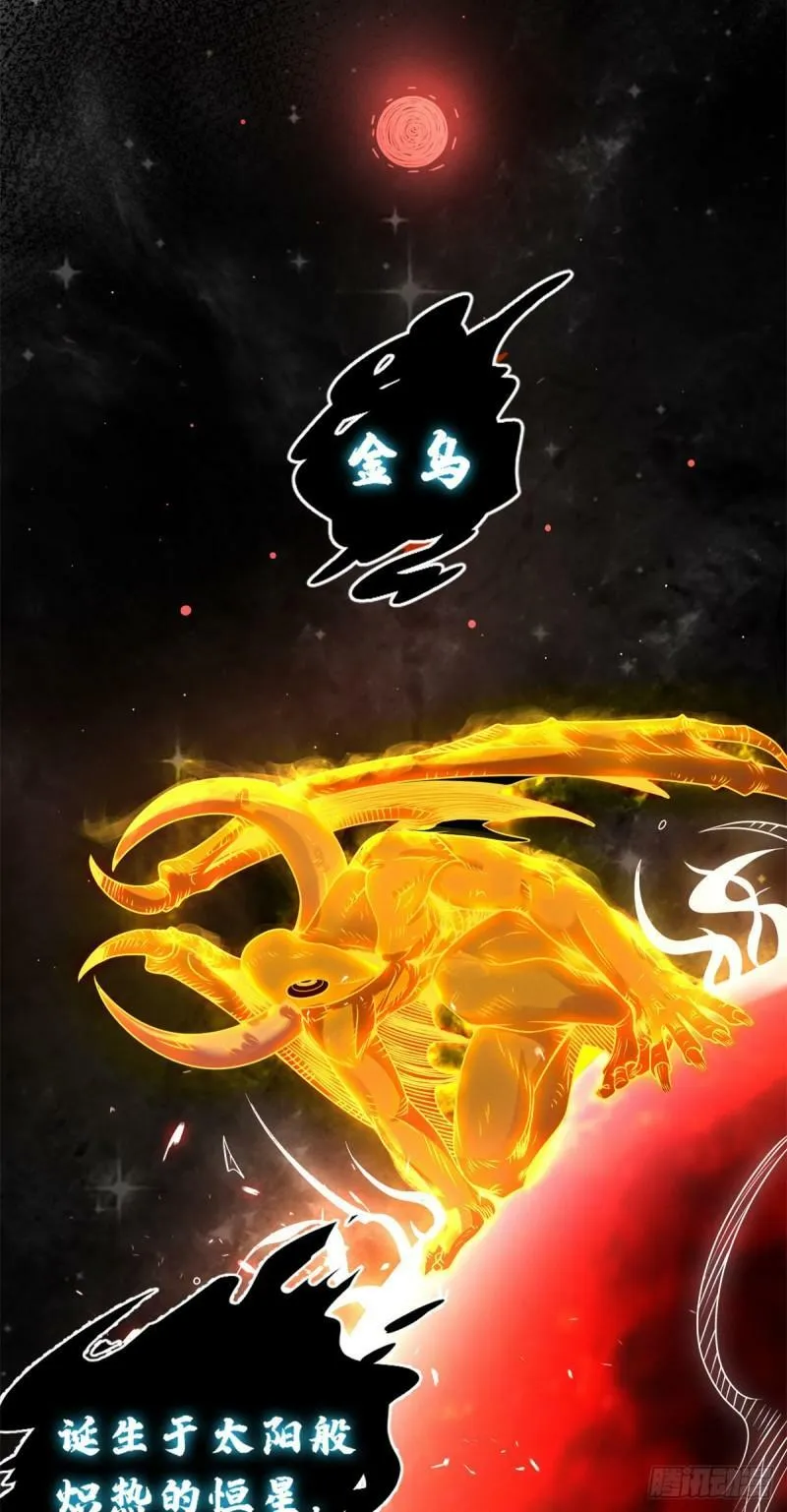 27 金乌神魔体！ 第27页