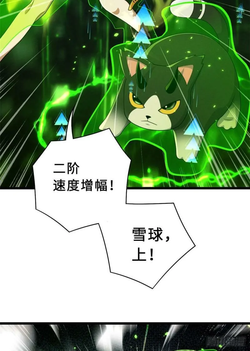 29 你不会嫌贵吧？ 第38页