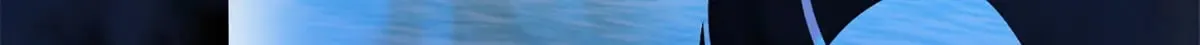 162 入局 第164页