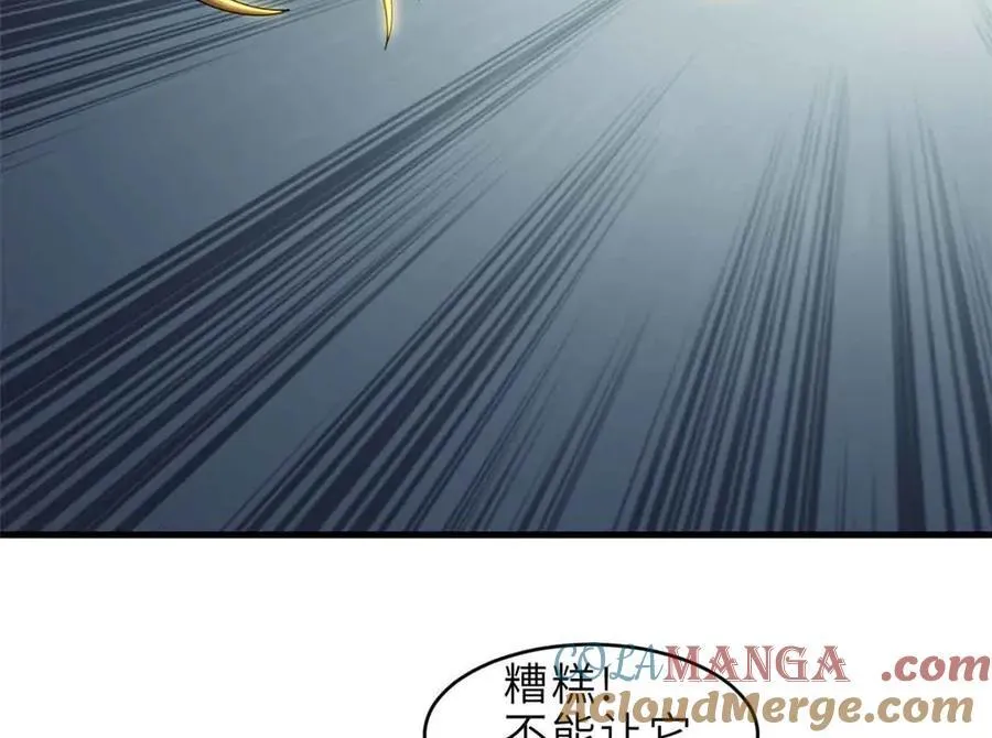 178 杀翅金蝉 第61页