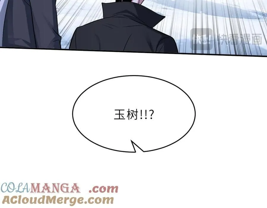 179 玉树 第121页