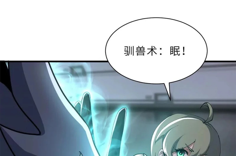 204 铁脊地龙兽 第29页