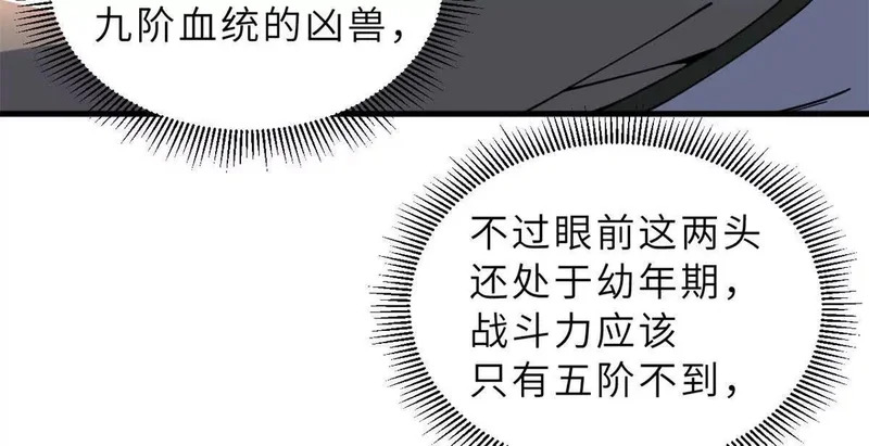 204 铁脊地龙兽 第49页