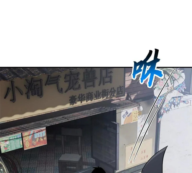 207 吸收 第36页