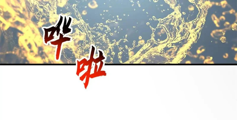 207 吸收 第205页