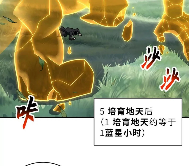 208 晋升天命境！ 第5页