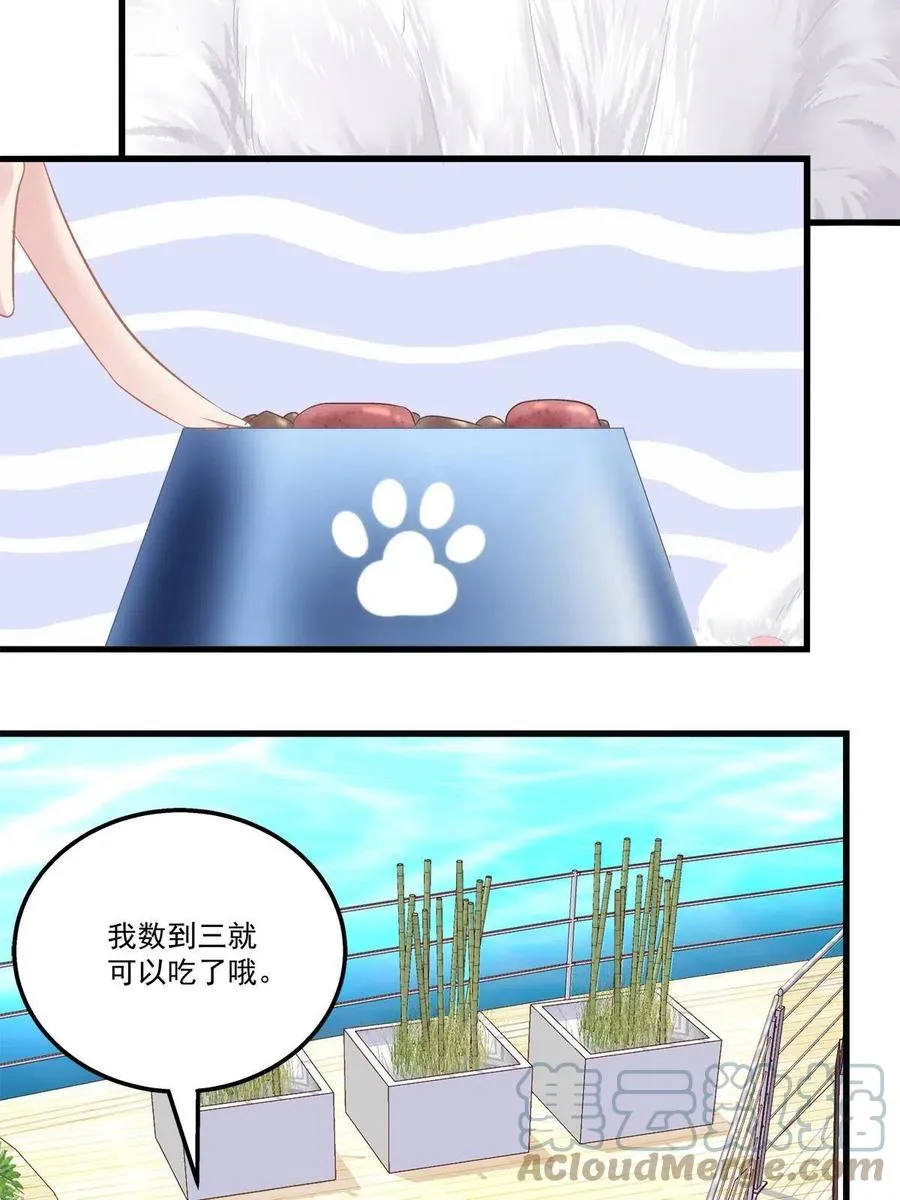 80 第34页