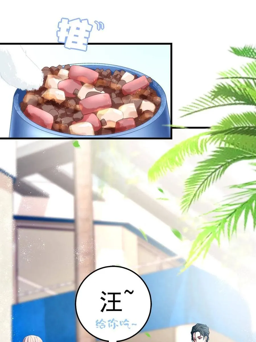80 第44页