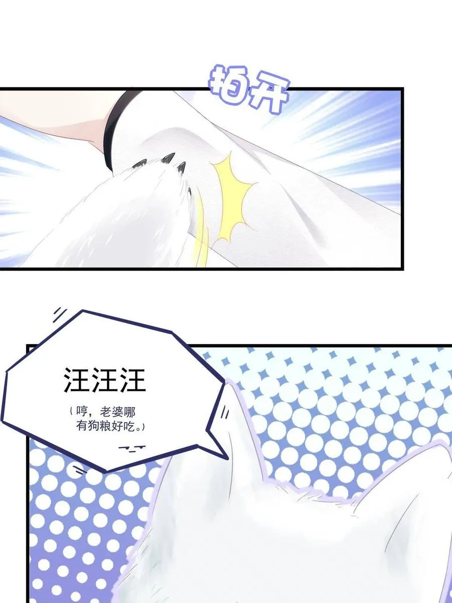 80 第51页