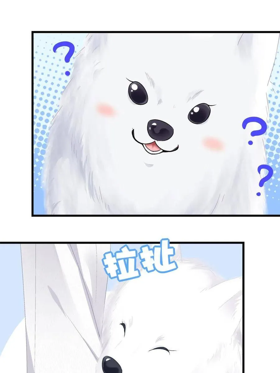 80 第60页