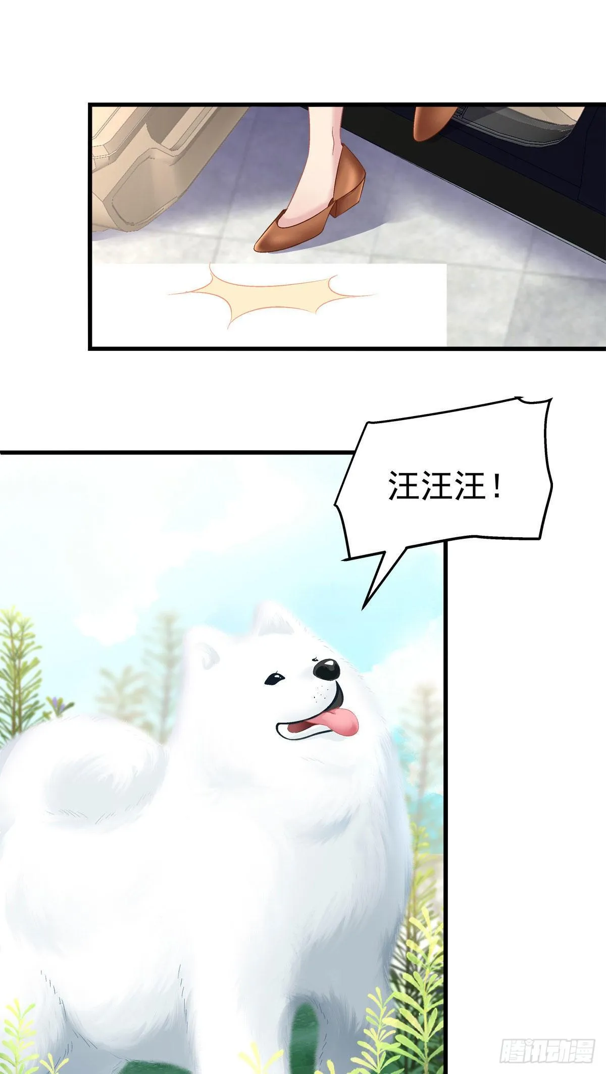 11 第40页