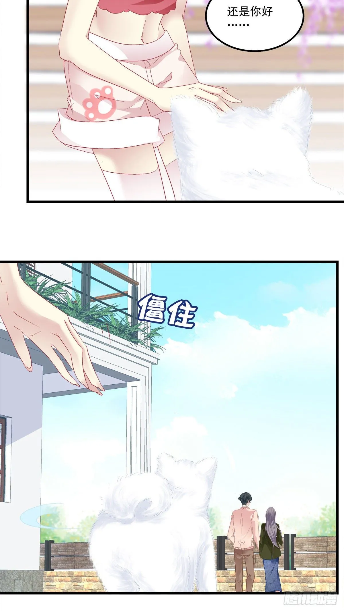 12 第15页