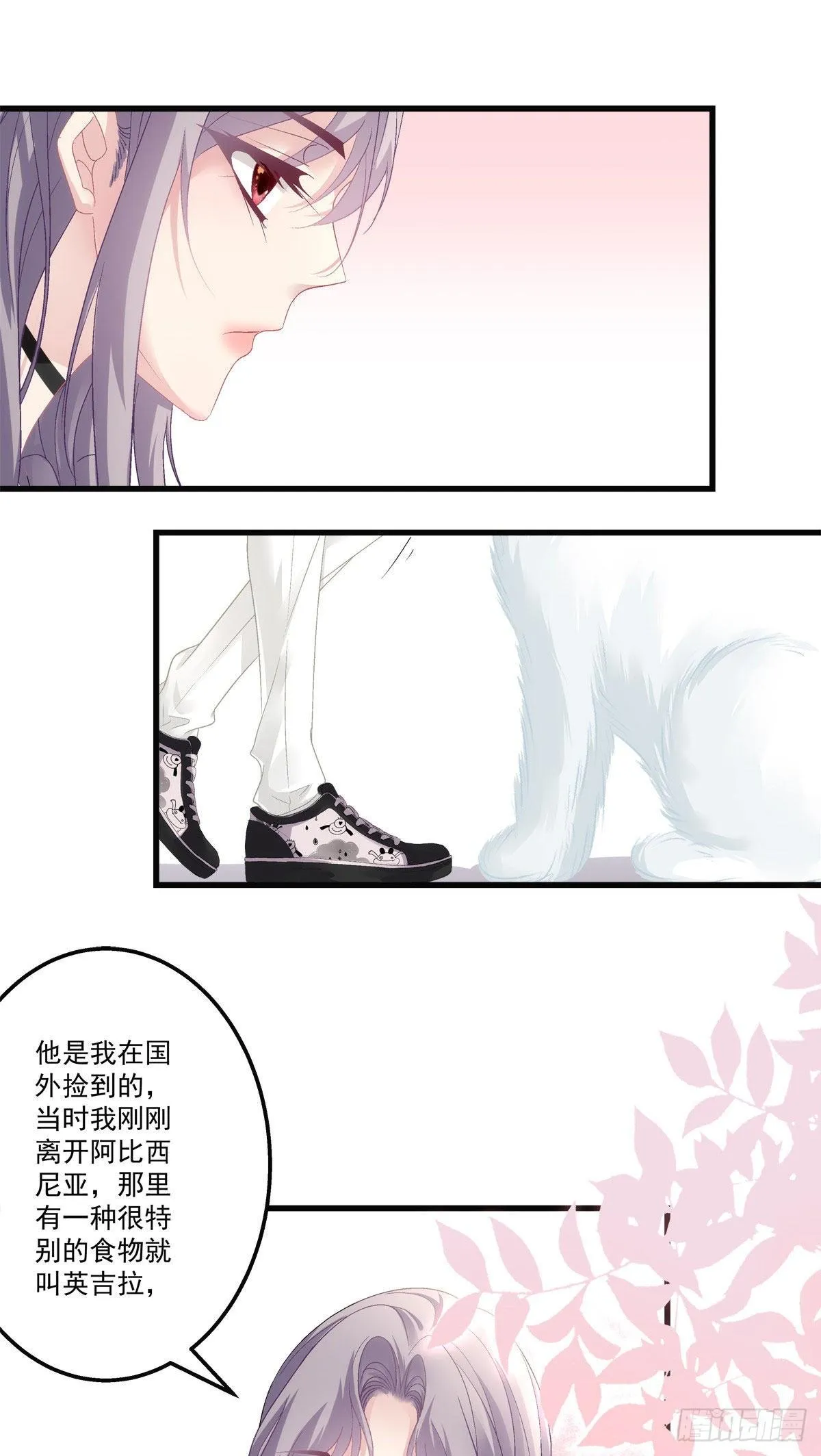 31 第8页