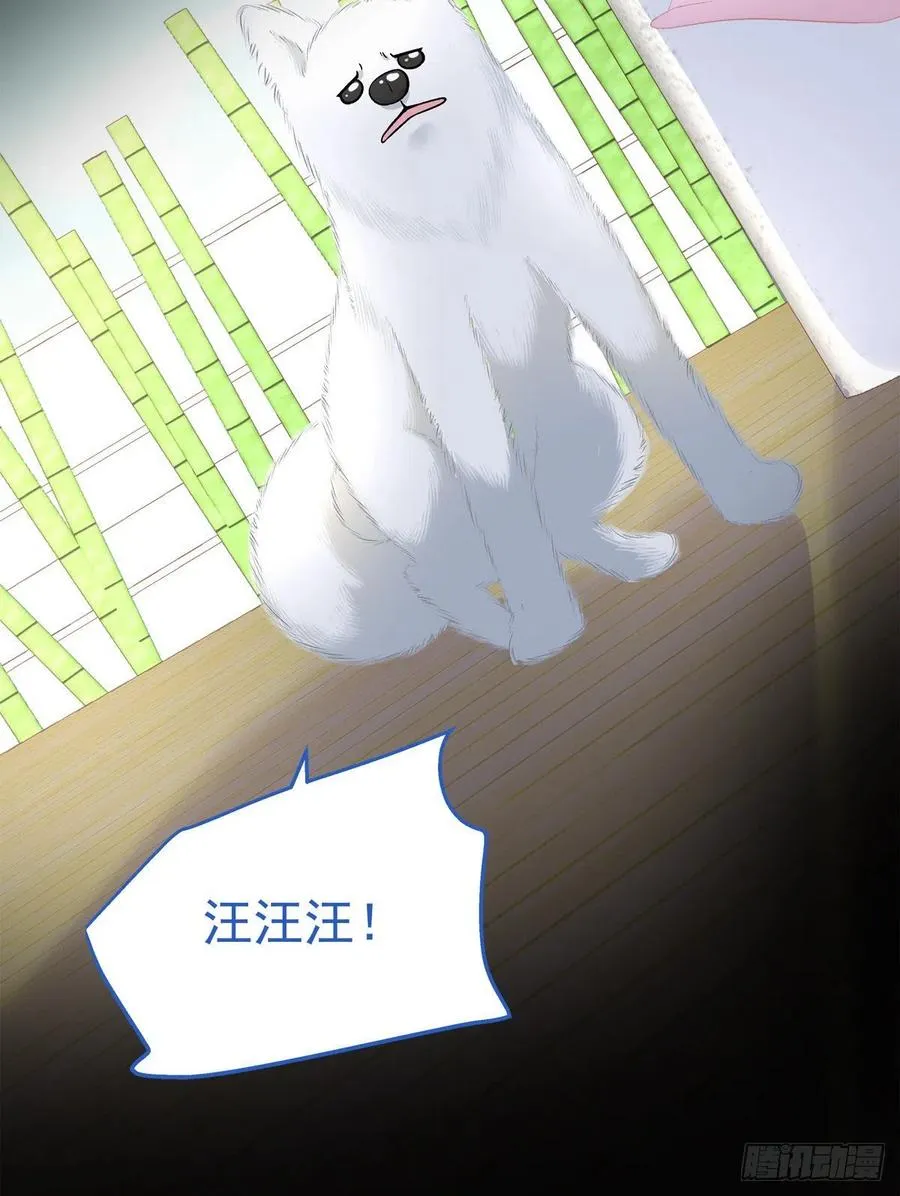 59 第8页