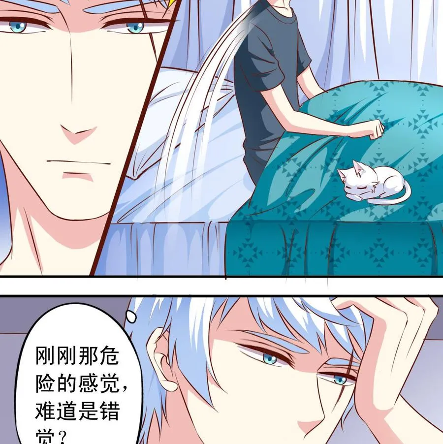 番外37 难伺候的猫 第4页
