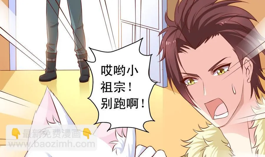 番外37 难伺候的猫 第13页