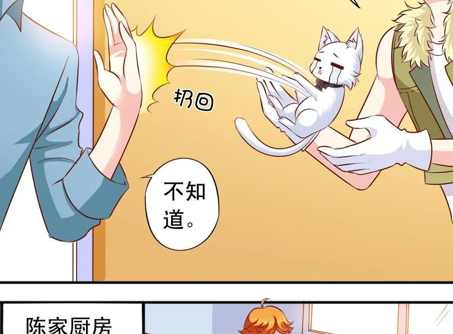 番外37 难伺候的猫 第16页