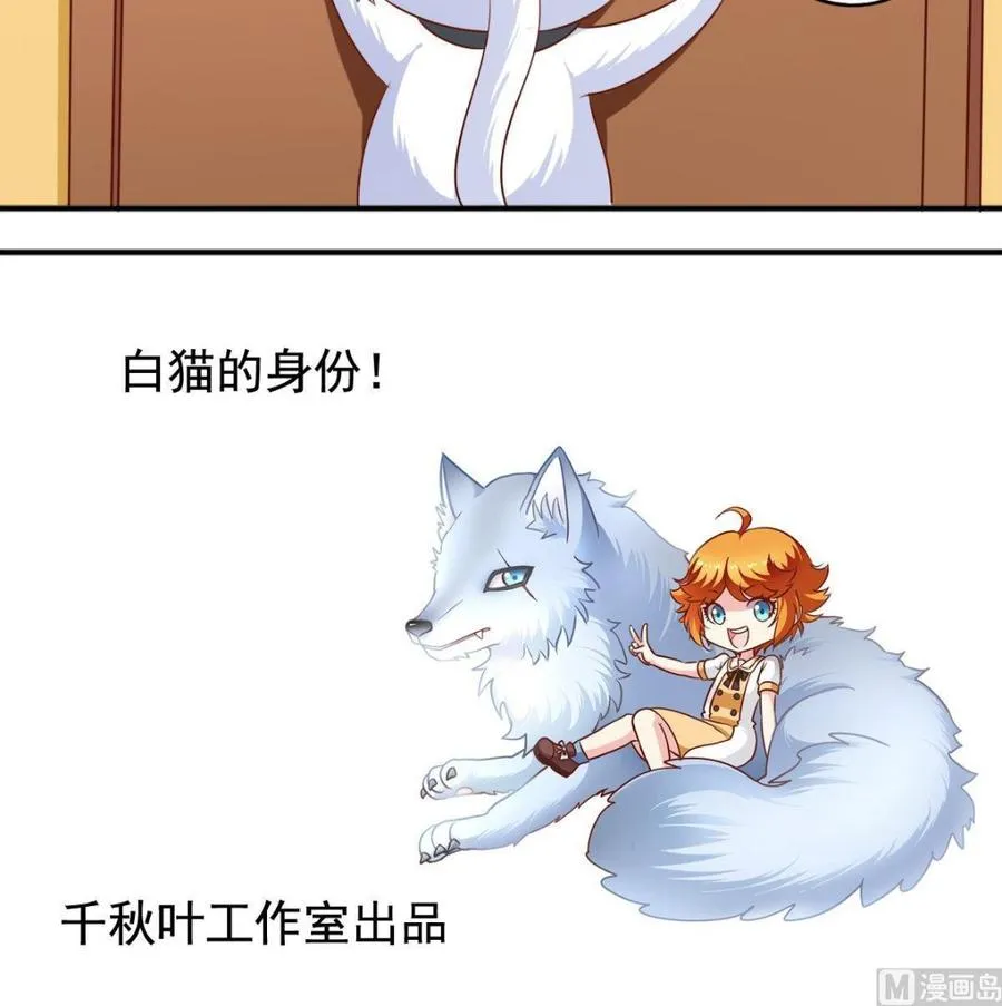 番外37 难伺候的猫 第24页