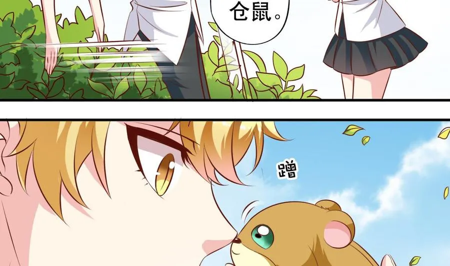 番外35 白猫和仓鼠 第14页