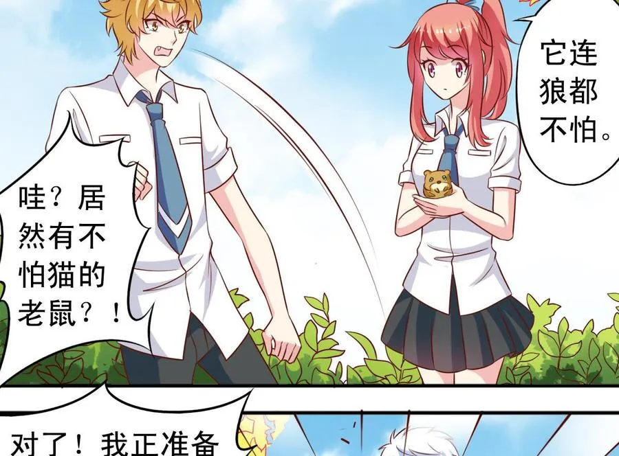 番外35 白猫和仓鼠 第16页